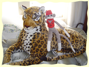 Sock Monkey Fun! Monkeys in the Wild